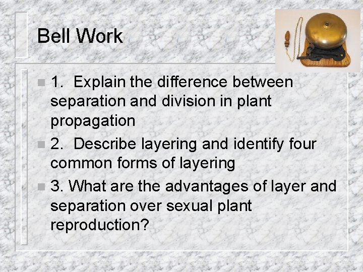 Bell Work 1. Explain the difference between separation and division in plant propagation n