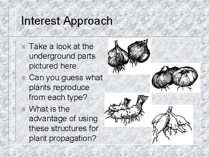 Interest Approach n n n Take a look at the underground parts pictured here.