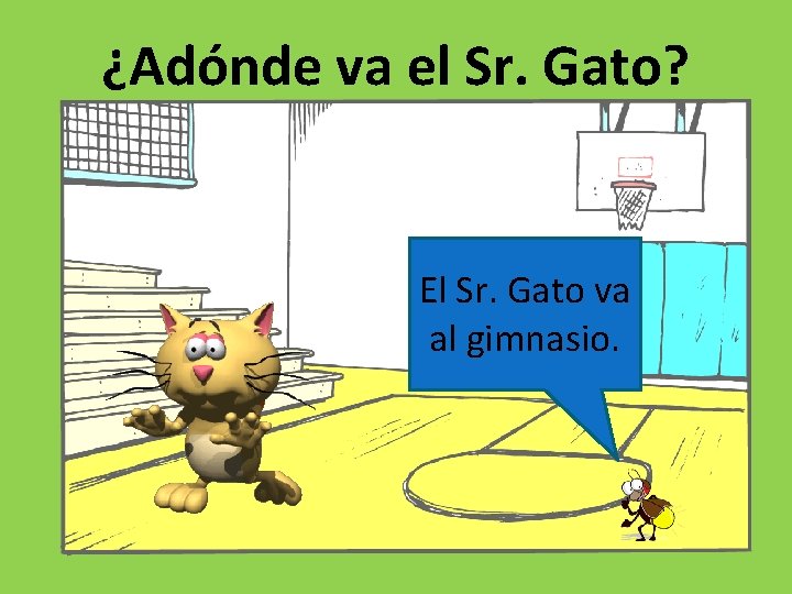 ¿Adónde va el Sr. Gato? El Sr. Gato va al gimnasio. 