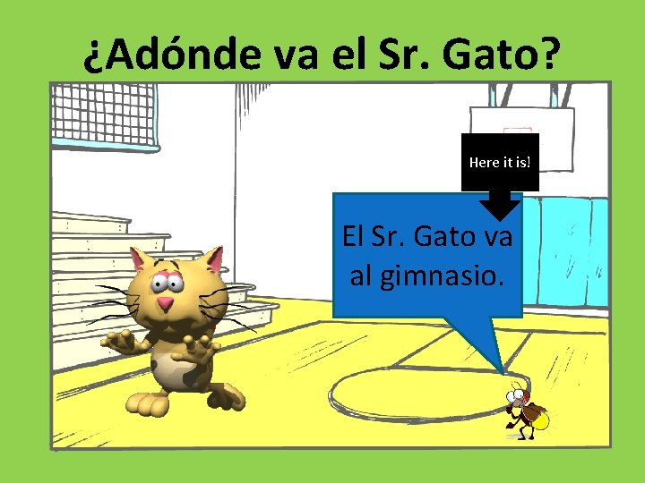 ¿Adónde va el Sr. Gato? Here it is! El Sr. Gato va al gimnasio.
