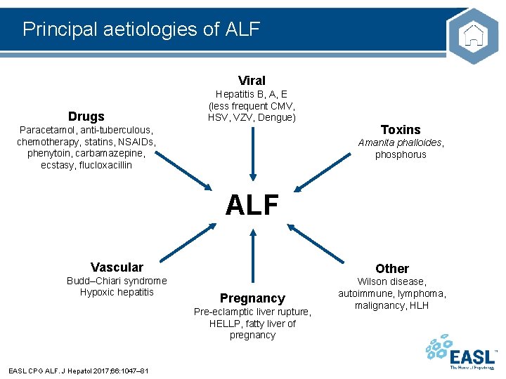 Principal aetiologies of ALF Viral Drugs Hepatitis B, A, E (less frequent CMV, HSV,