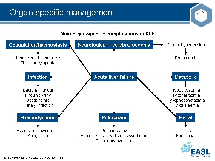 Organ-specific management Main organ-specific complications in ALF Coagulation/haemostasis Neurological = cerebral oedema Unbalanced haemostasis