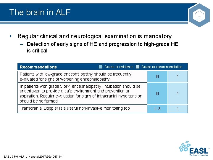 The brain in ALF • Regular clinical and neurological examination is mandatory – Detection