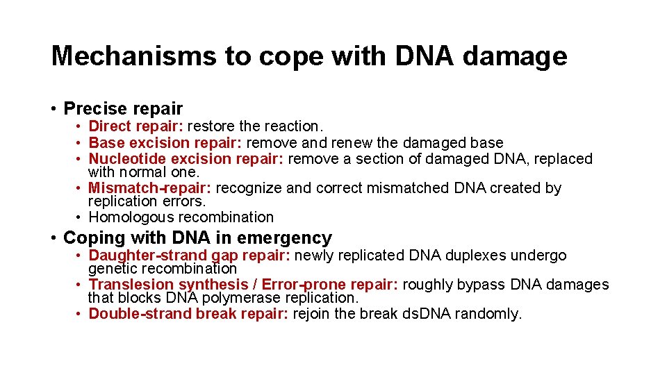 Mechanisms to cope with DNA damage • Precise repair • Direct repair: restore the