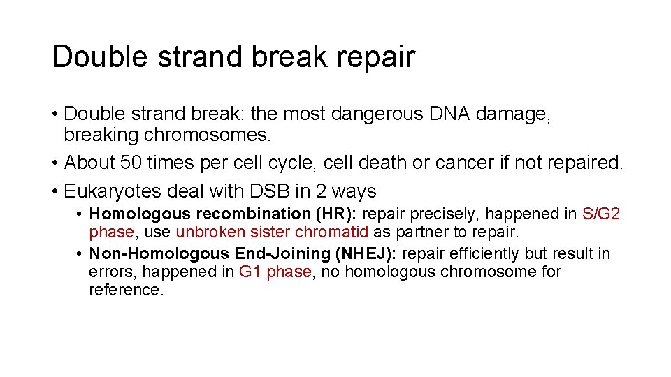 Double strand break repair • Double strand break: the most dangerous DNA damage, breaking