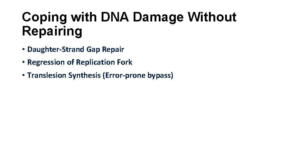 Coping with DNA Damage Without Repairing • Daughter-Strand Gap Repair • Regression of Replication