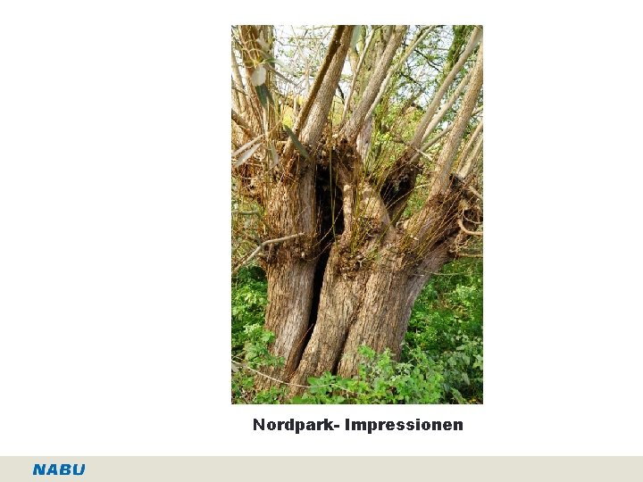 Nordpark- Impressionen 