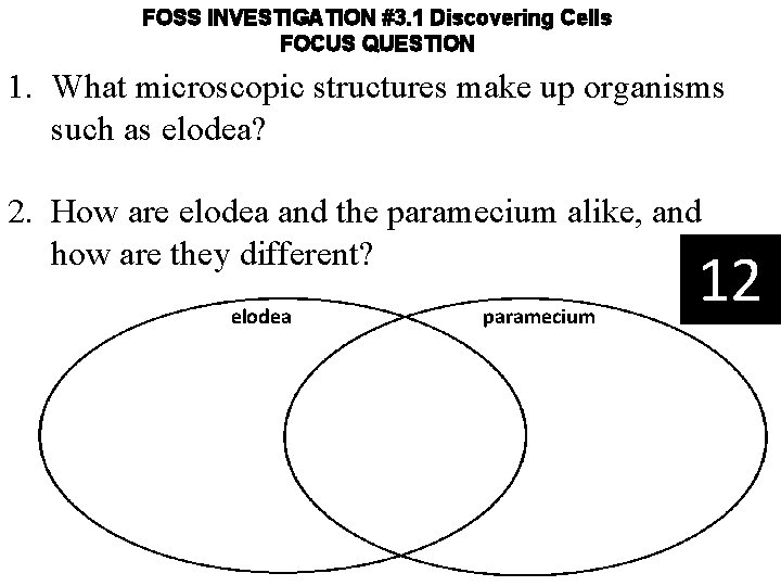 FOSS INVESTIGATION #3. 1 Discovering Cells FOCUS QUESTION 1. What microscopic structures make up