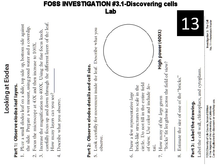 FOSS INVESTIGATION #3. 1 -Discovering cells Lab 13 