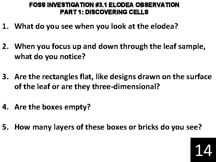 FOSS INVESTIGATION #3. 1 ELODEA OBSERVATION PART 1: DISCOVERING CELLS 1. What do you