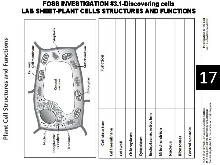 FOSS INVESTIGATION #3. 1 -Discovering cells LAB SHEET-PLANT CELLS STRUCTURES AND FUNCTIONS 17 