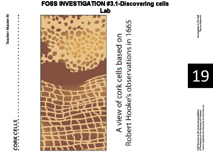 FOSS INVESTIGATION #3. 1 -Discovering cells Lab 19 