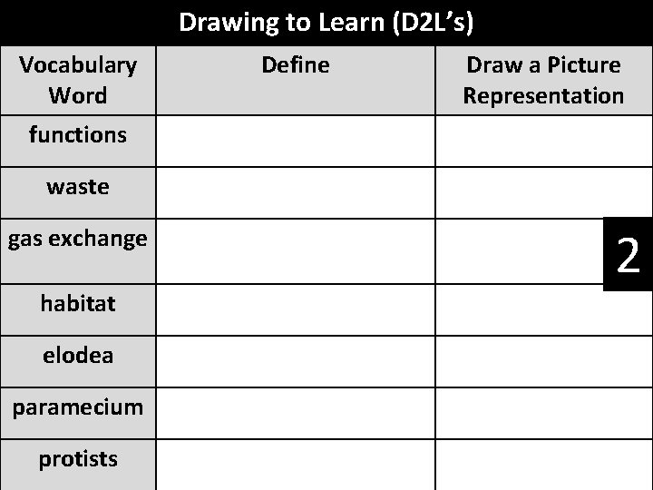 Drawing to Learn (D 2 L’s) Vocabulary Word Define Draw a Picture Representation functions