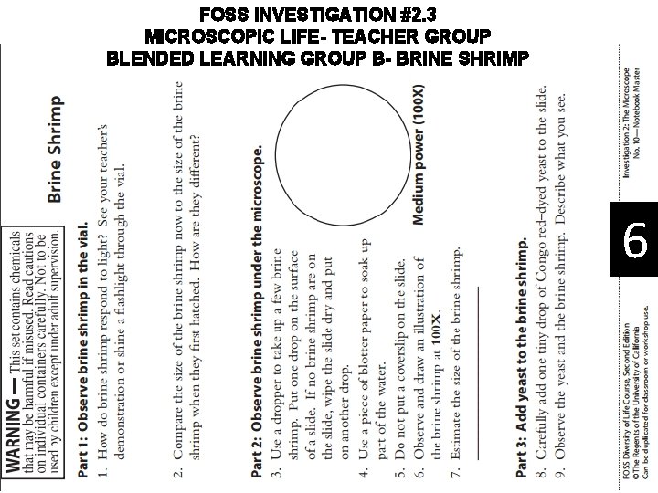 FOSS INVESTIGATION #2. 3 MICROSCOPIC LIFE- TEACHER GROUP BLENDED LEARNING GROUP B- BRINE SHRIMP