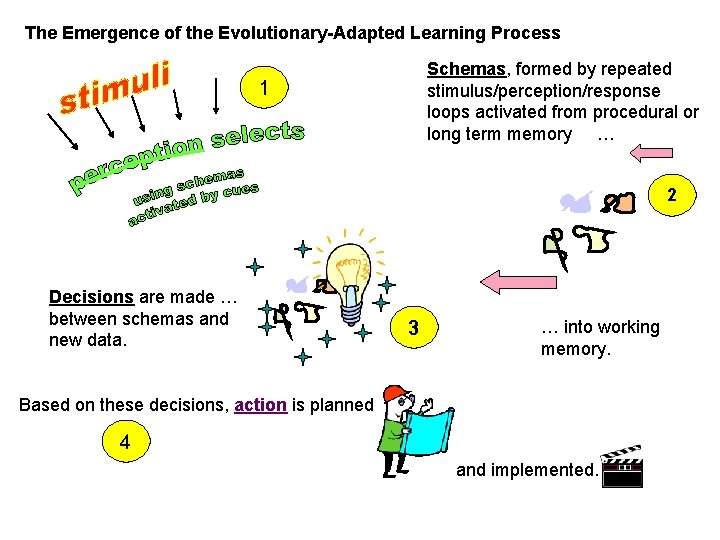 The Emergence of the Evolutionary-Adapted Learning Process Schemas, formed by repeated stimulus/perception/response loops activated