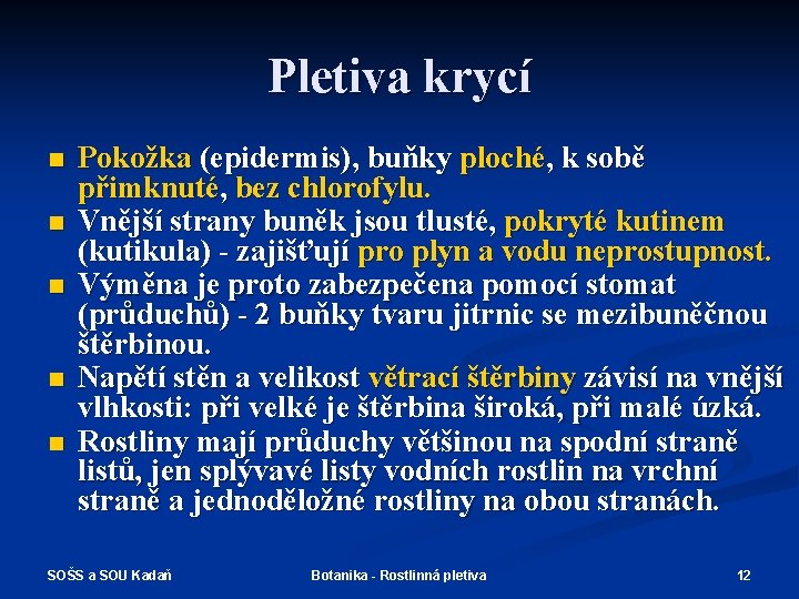 Pletiva krycí n n n Pokožka (epidermis), buňky ploché, k sobě přimknuté, bez chlorofylu.