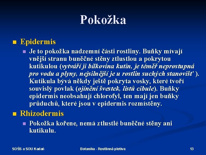 Pokožka n Epidermis n n Je to pokožka nadzemní části rostliny. Buňky mívají vnější