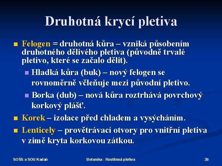 Druhotná krycí pletiva n n n Felogen = druhotná kůra – vzniká působením druhotného