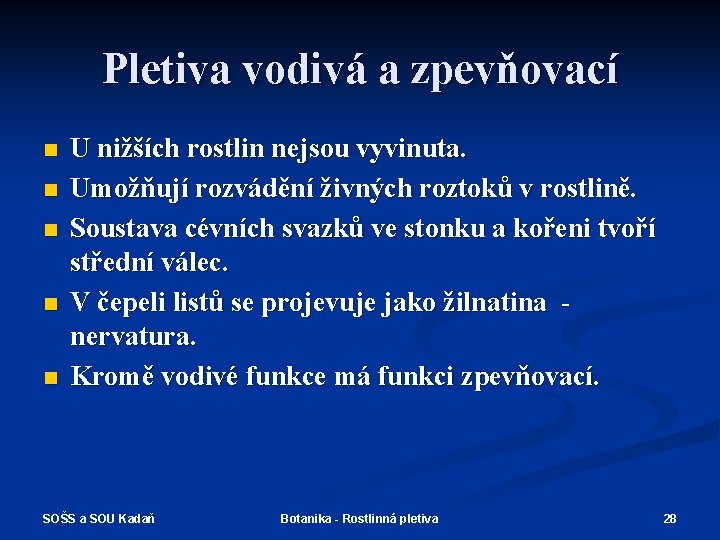 Pletiva vodivá a zpevňovací n n n U nižších rostlin nejsou vyvinuta. Umožňují rozvádění