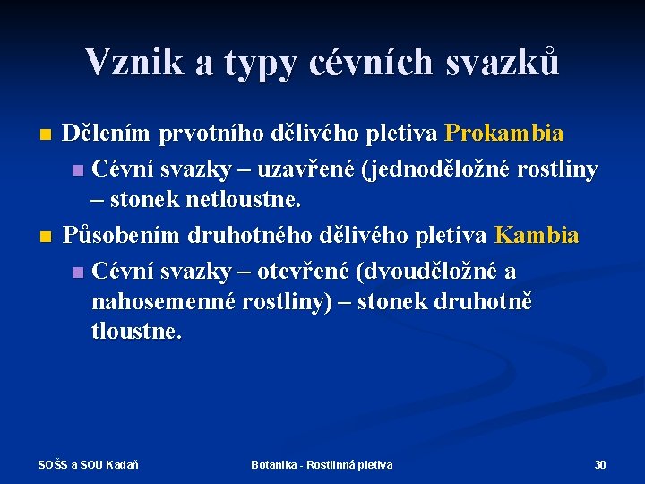 Vznik a typy cévních svazků n n Dělením prvotního dělivého pletiva Prokambia n Cévní