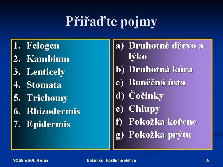 Přiřaďte pojmy 1. 2. 3. 4. 5. 6. 7. Felogen Kambium Lenticely Stomata Trichomy