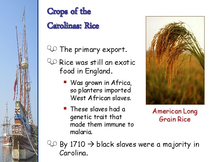 Crops of the Carolinas: Rice The primary export. Rice was still an exotic food