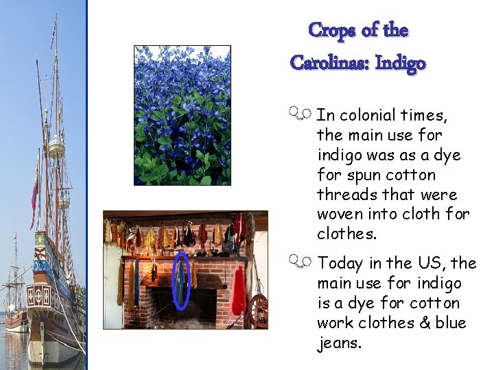 Crops of the Carolinas: Indigo In colonial times, the main use for indigo was