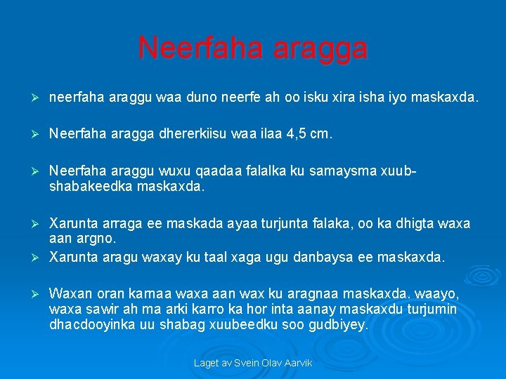 Neerfaha aragga Ø neerfaha araggu waa duno neerfe ah oo isku xira isha iyo