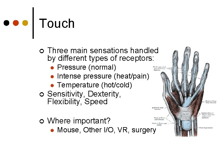 Touch ¢ Three main sensations handled by different types of receptors: l l l