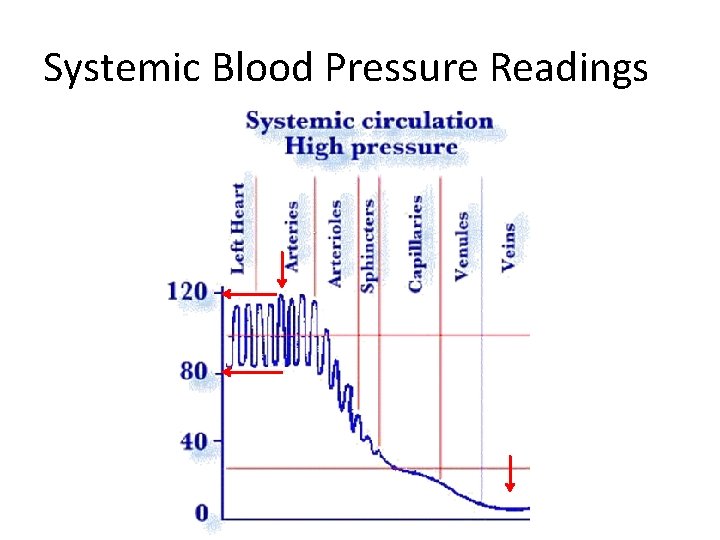 Systemic Blood Pressure Readings Systemic Blood Pressure Readings