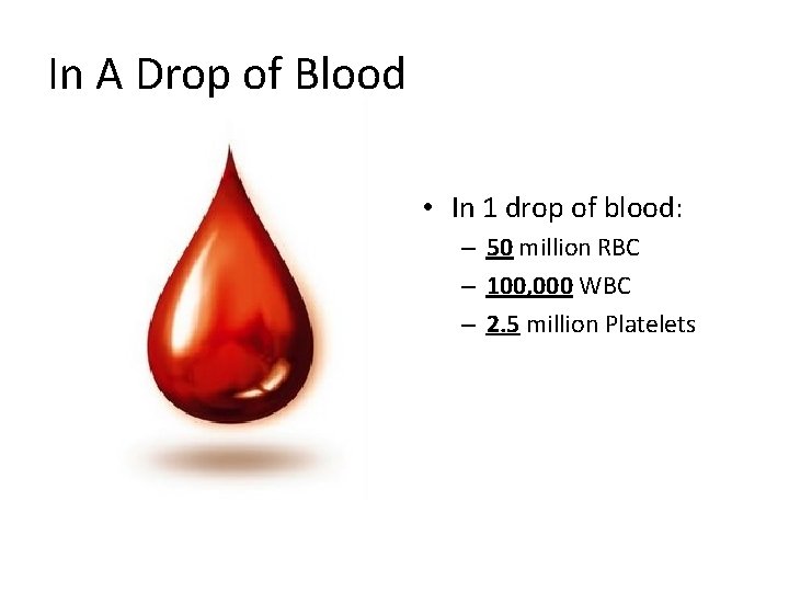 In A Drop of Blood • In 1 drop of blood: – 50 million