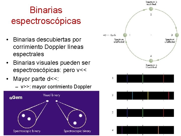 Binarias espectroscópicas • Binarias descubiertas por corrimiento Doppler líneas espectrales • Binarias visuales pueden