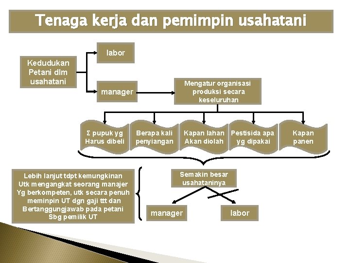 Tenaga kerja dan pemimpin usahatani labor Kedudukan Petani dlm usahatani Mengatur organisasi produksi secara