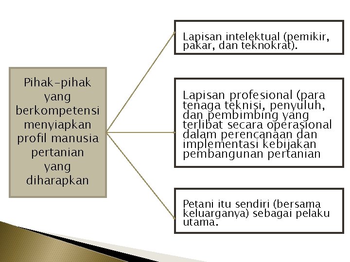 Lapisan intelektual (pemikir, pakar, dan teknokrat). Pihak-pihak yang berkompetensi menyiapkan profil manusia pertanian yang