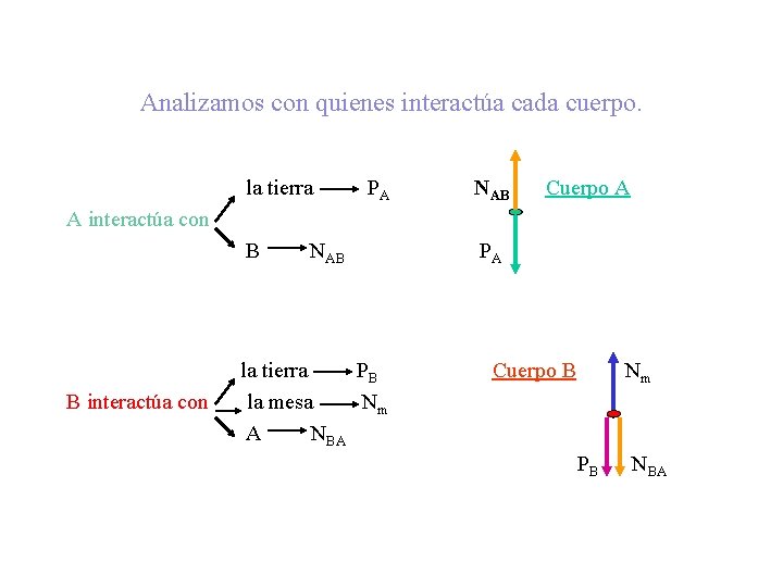 Analizamos con quienes interactúa cada cuerpo. la tierra PA NAB Cuerpo A A interactúa