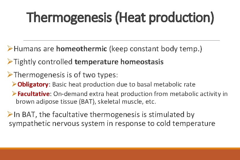 Thermogenesis (Heat production) ØHumans are homeothermic (keep constant body temp. ) ØTightly controlled temperature