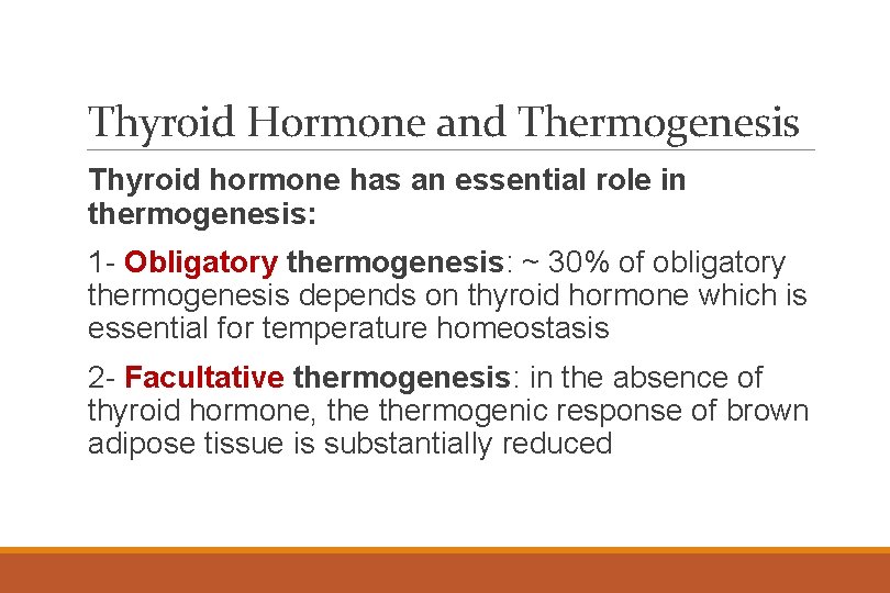 Thyroid Hormone and Thermogenesis Thyroid hormone has an essential role in thermogenesis: 1 -
