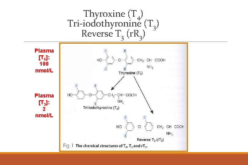 Thyroxine (T 4) Tri-iodothyronine (T 3) Reverse T 3 (r. R 3) Plasma [T