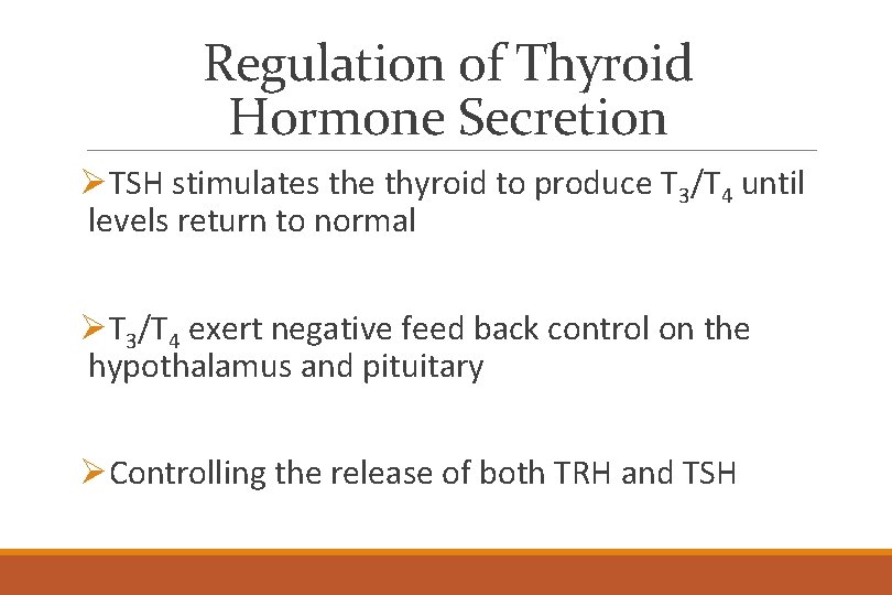 Regulation of Thyroid Hormone Secretion ØTSH stimulates the thyroid to produce T 3/T 4