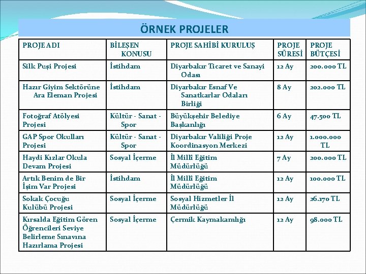 ÖRNEK PROJELER PROJE ADI BİLEŞEN KONUSU PROJE SAHİBİ KURULUŞ PROJE SÜRESİ PROJE BÜTÇESİ Silk