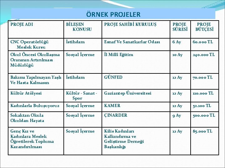 ÖRNEK PROJELER PROJE ADI BİLEŞEN KONUSU PROJE SAHİBİ KURULUŞ PROJE SÜRESİ PROJE BÜTÇESİ CNC