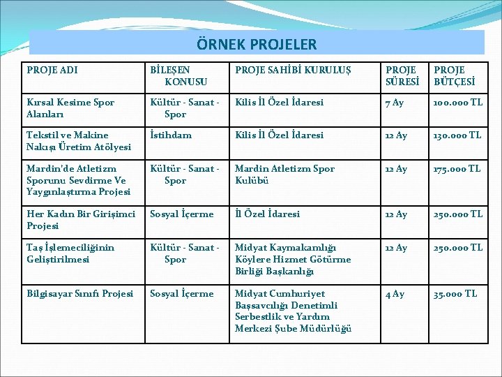 ÖRNEK PROJELER PROJE ADI BİLEŞEN KONUSU PROJE SAHİBİ KURULUŞ PROJE SÜRESİ PROJE BÜTÇESİ Kırsal