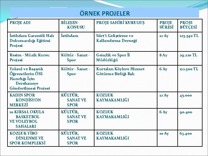 ÖRNEK PROJELER PROJE ADI BİLEŞEN KONUSU PROJE SAHİBİ KURULUŞ PROJE SÜRESİ PROJE BÜTÇESİ İstihdam