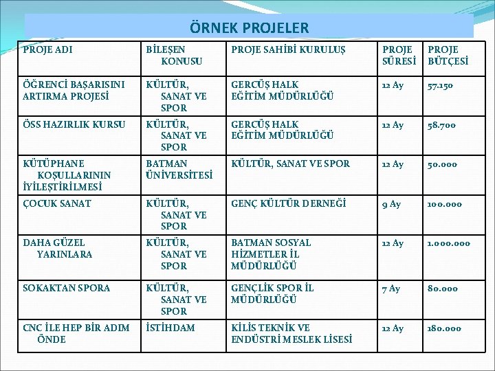 ÖRNEK PROJELER PROJE ADI BİLEŞEN KONUSU PROJE SAHİBİ KURULUŞ PROJE SÜRESİ PROJE BÜTÇESİ ÖĞRENCİ