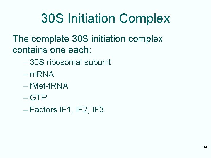 30 S Initiation Complex The complete 30 S initiation complex contains one each: –