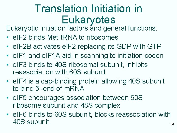 Translation Initiation in Eukaryotes Eukaryotic initiation factors and general functions: • e. IF 2