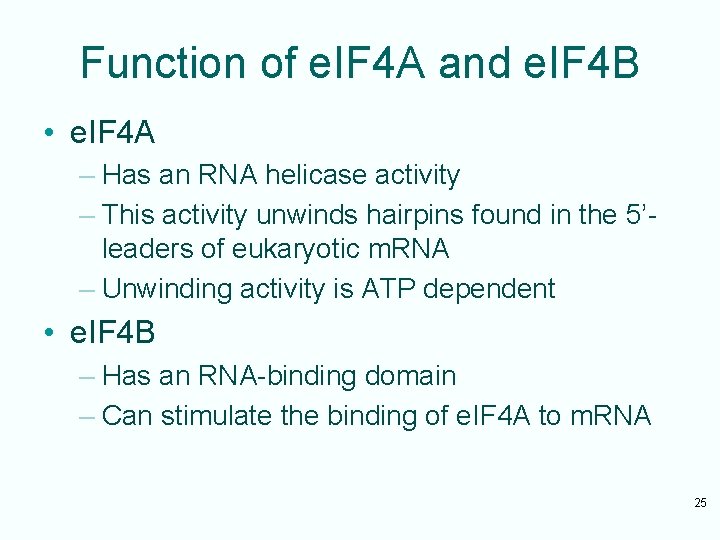 Function of e. IF 4 A and e. IF 4 B • e. IF