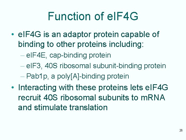 Function of e. IF 4 G • e. IF 4 G is an adaptor