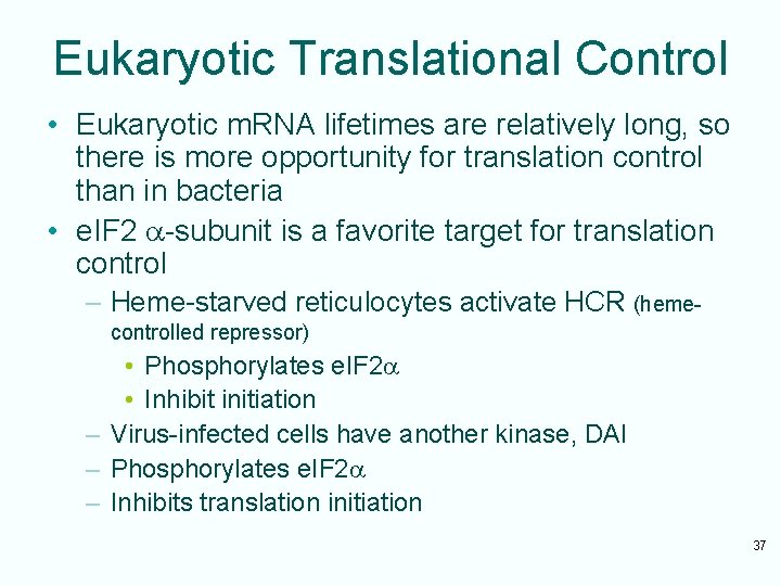 Eukaryotic Translational Control • Eukaryotic m. RNA lifetimes are relatively long, so there is