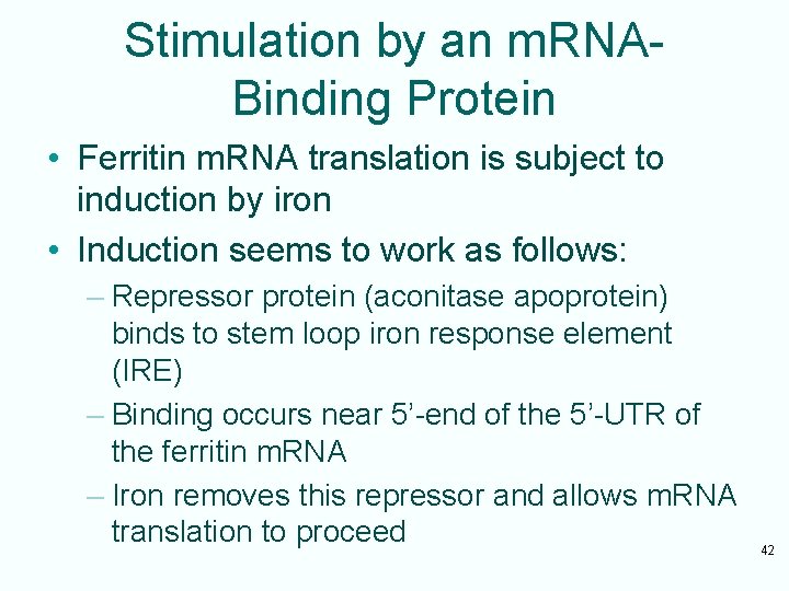 Stimulation by an m. RNABinding Protein • Ferritin m. RNA translation is subject to